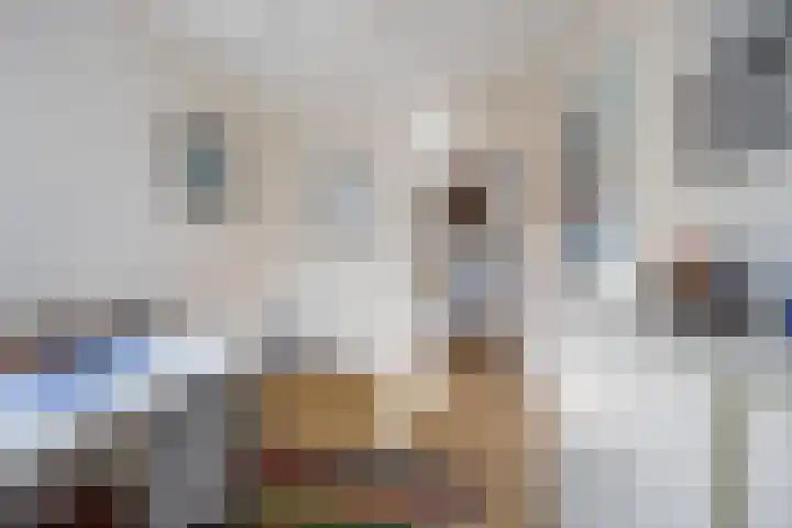 Struijshof 11 Breda thumbnail 44