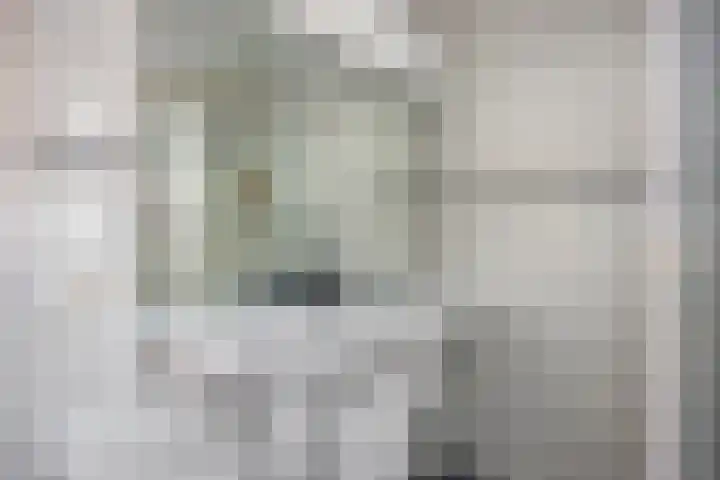 Struijshof 11 Breda thumbnail 48