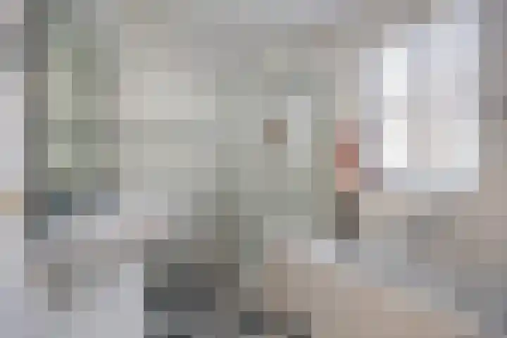Struijshof 11 Breda thumbnail 5