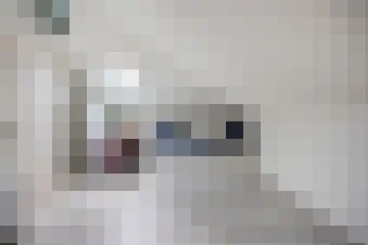 Struijshof 11 Breda thumbnail 52