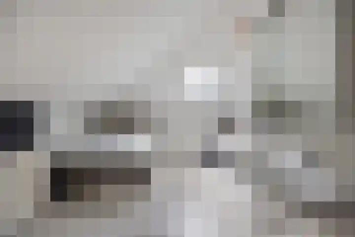 Struijshof 11 Breda thumbnail 57