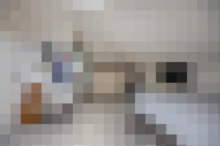 Struijshof 11 Breda thumbnail 58