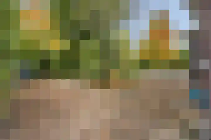Struijshof 11 Breda thumbnail 61