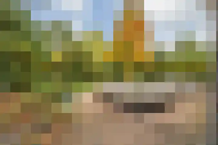 Struijshof 11 Breda thumbnail 62