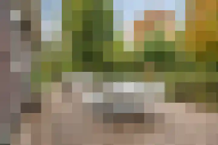 Struijshof 11 Breda thumbnail 63