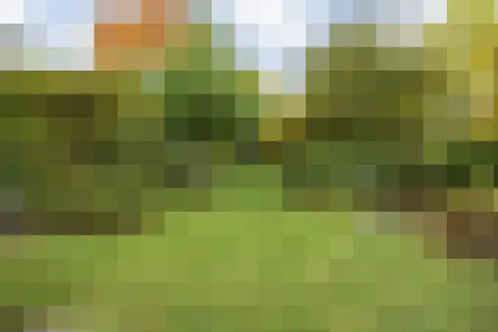 Struijshof 11 Breda thumbnail 64