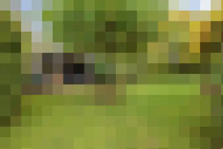 Struijshof 11 Breda thumbnail 65