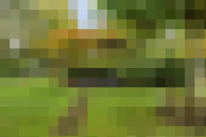 Struijshof 11 Breda thumbnail 66
