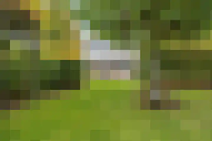Struijshof 11 Breda thumbnail 67