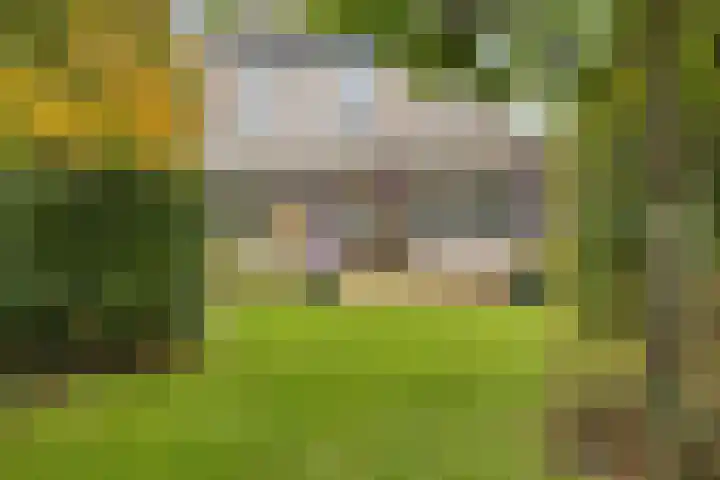 Struijshof 11 Breda thumbnail 68