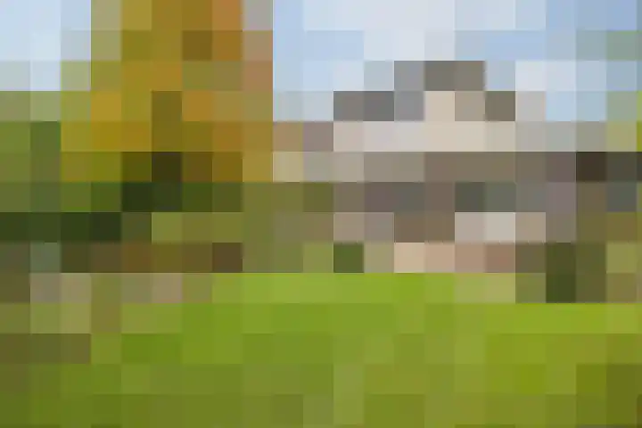 Struijshof 11 Breda thumbnail 69