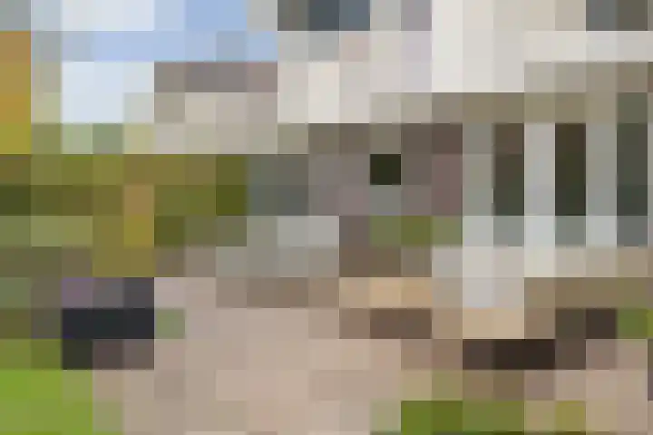 Struijshof 11 Breda thumbnail 70