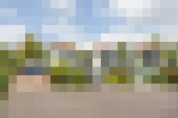 Struijshof 11 Breda thumbnail 71