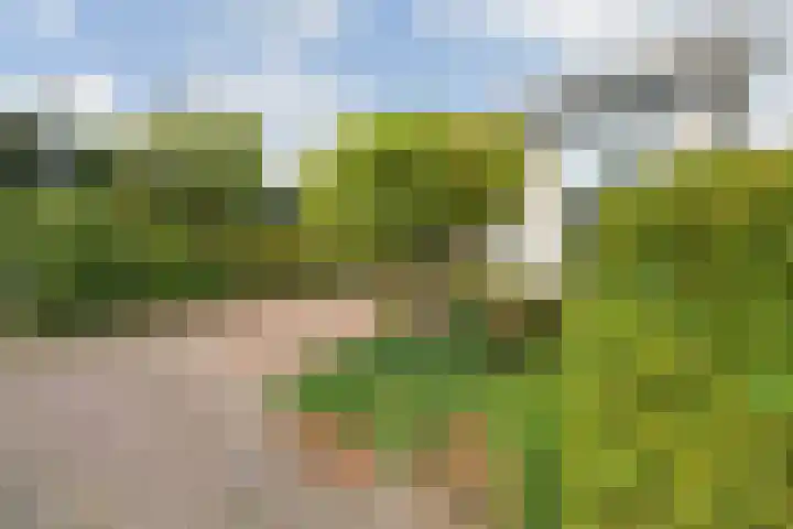 Struijshof 11 Breda thumbnail 72