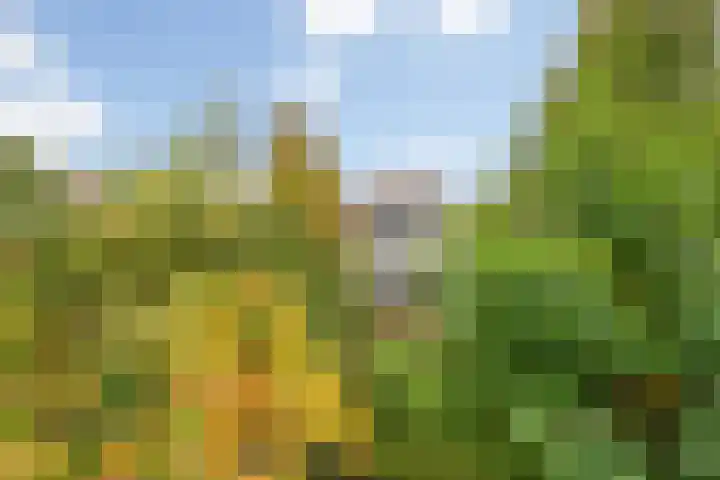 Struijshof 11 Breda thumbnail 8