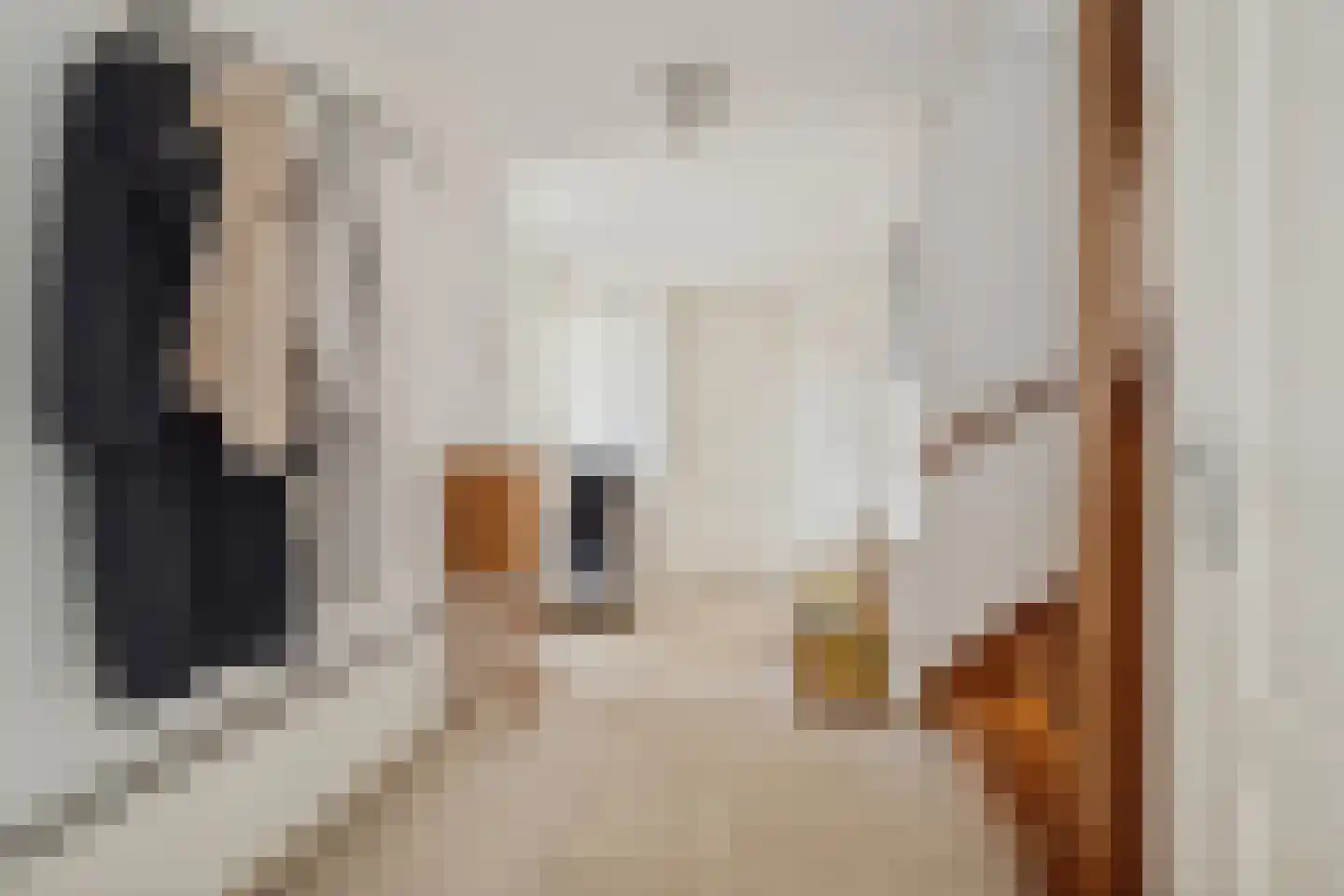 Struijshof 8 Breda thumbnail 11