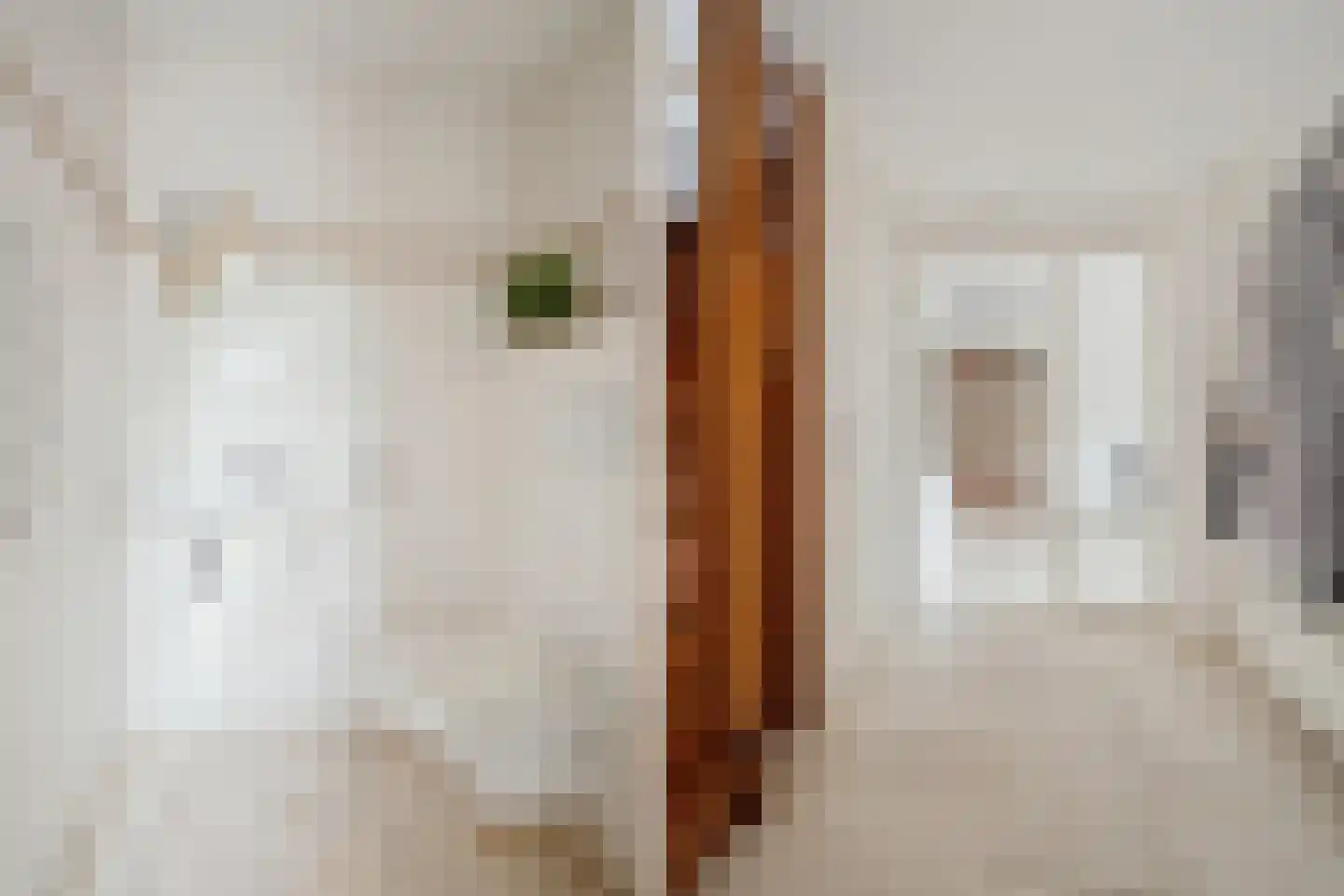 Struijshof 8 Breda thumbnail 12
