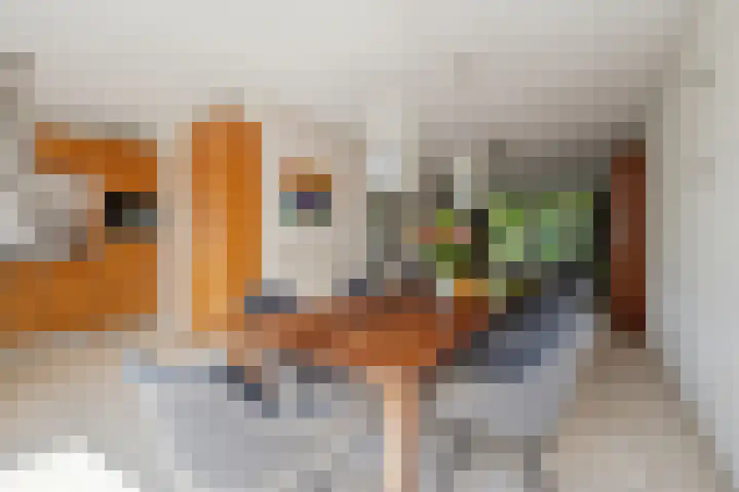 Struijshof 8 Breda thumbnail 28