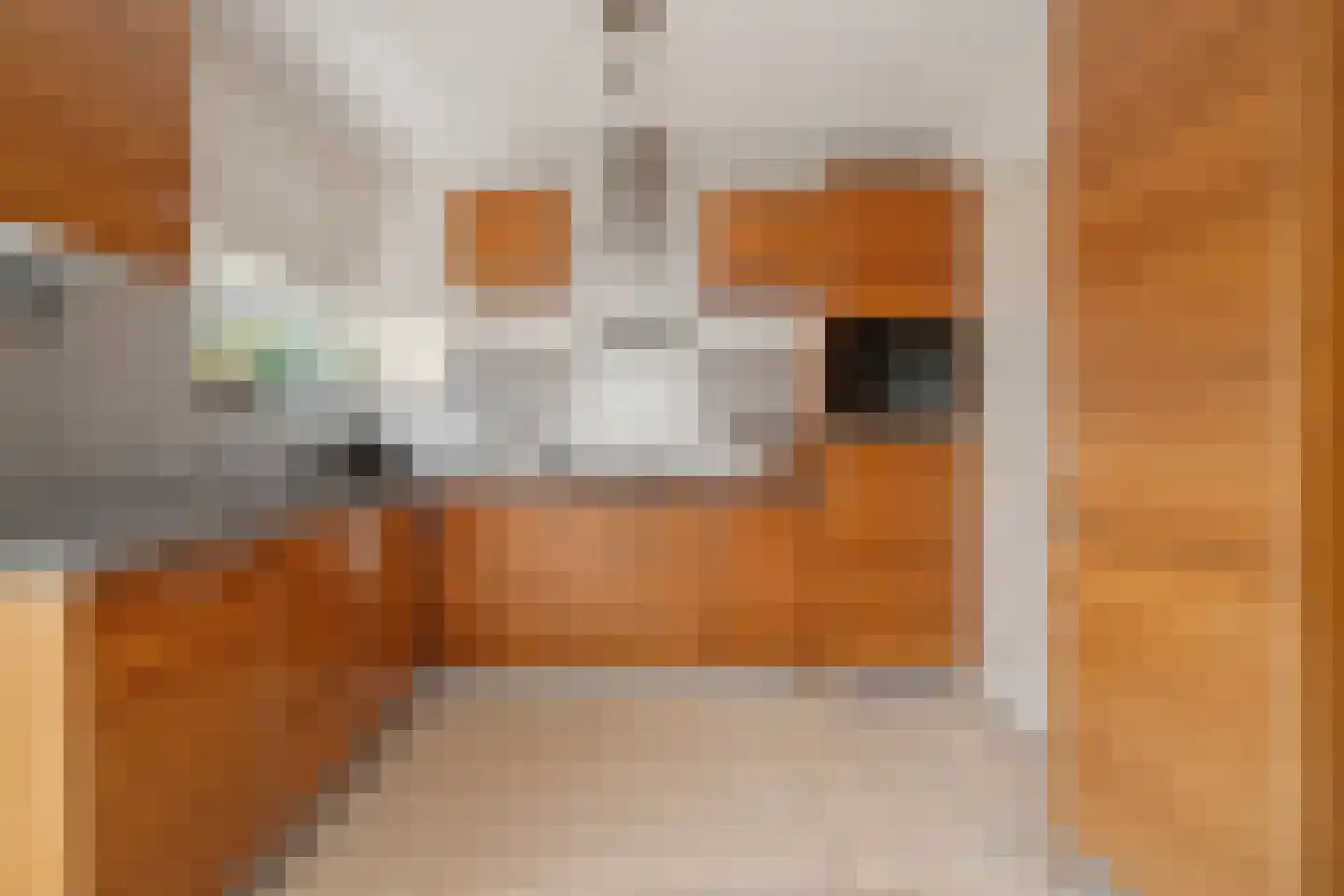 Struijshof 8 Breda thumbnail 29