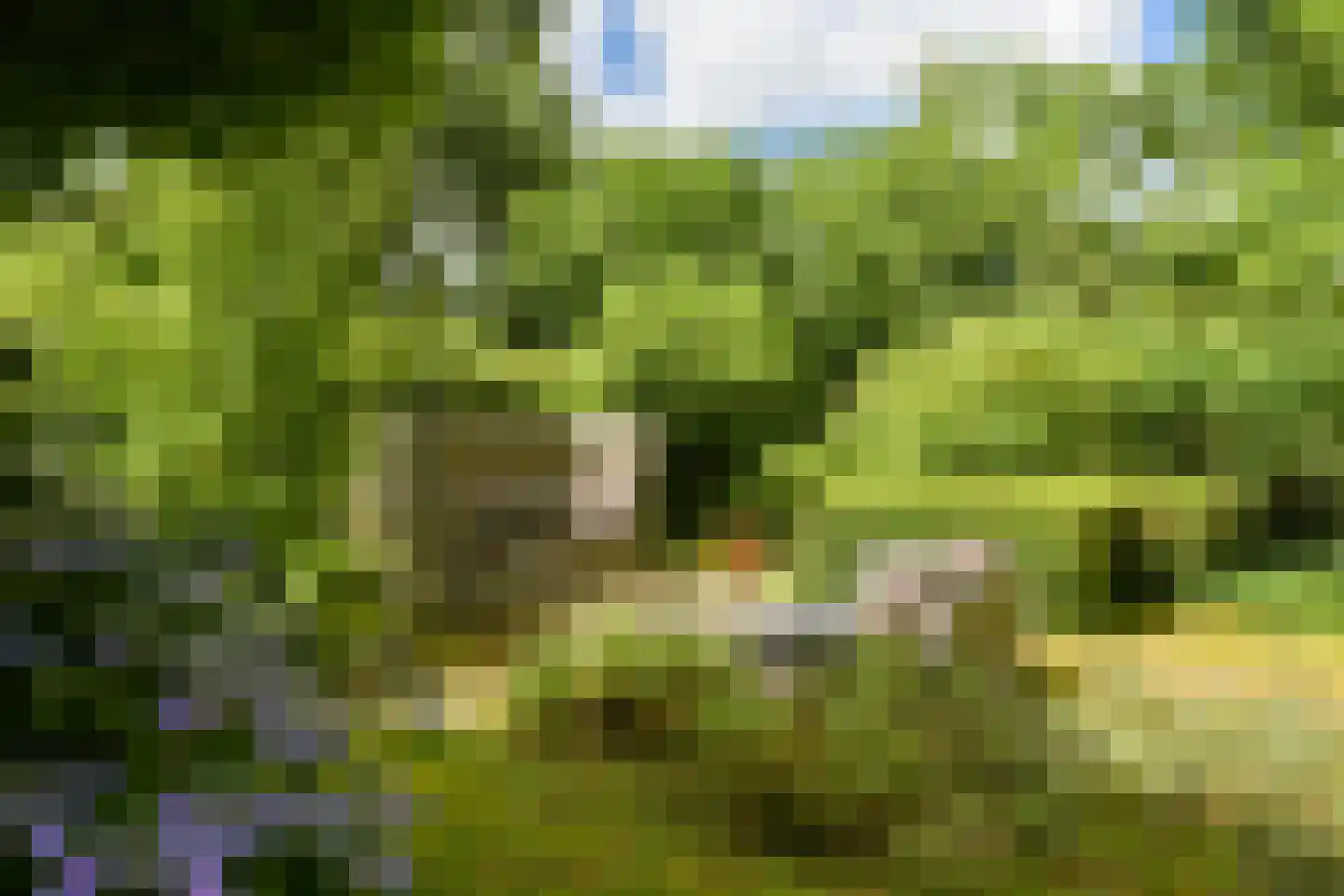 Struijshof 8 Breda thumbnail 35