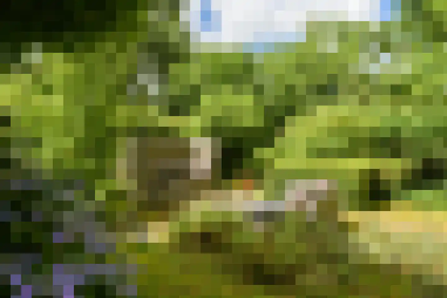 Struijshof 8 Breda thumbnail 35