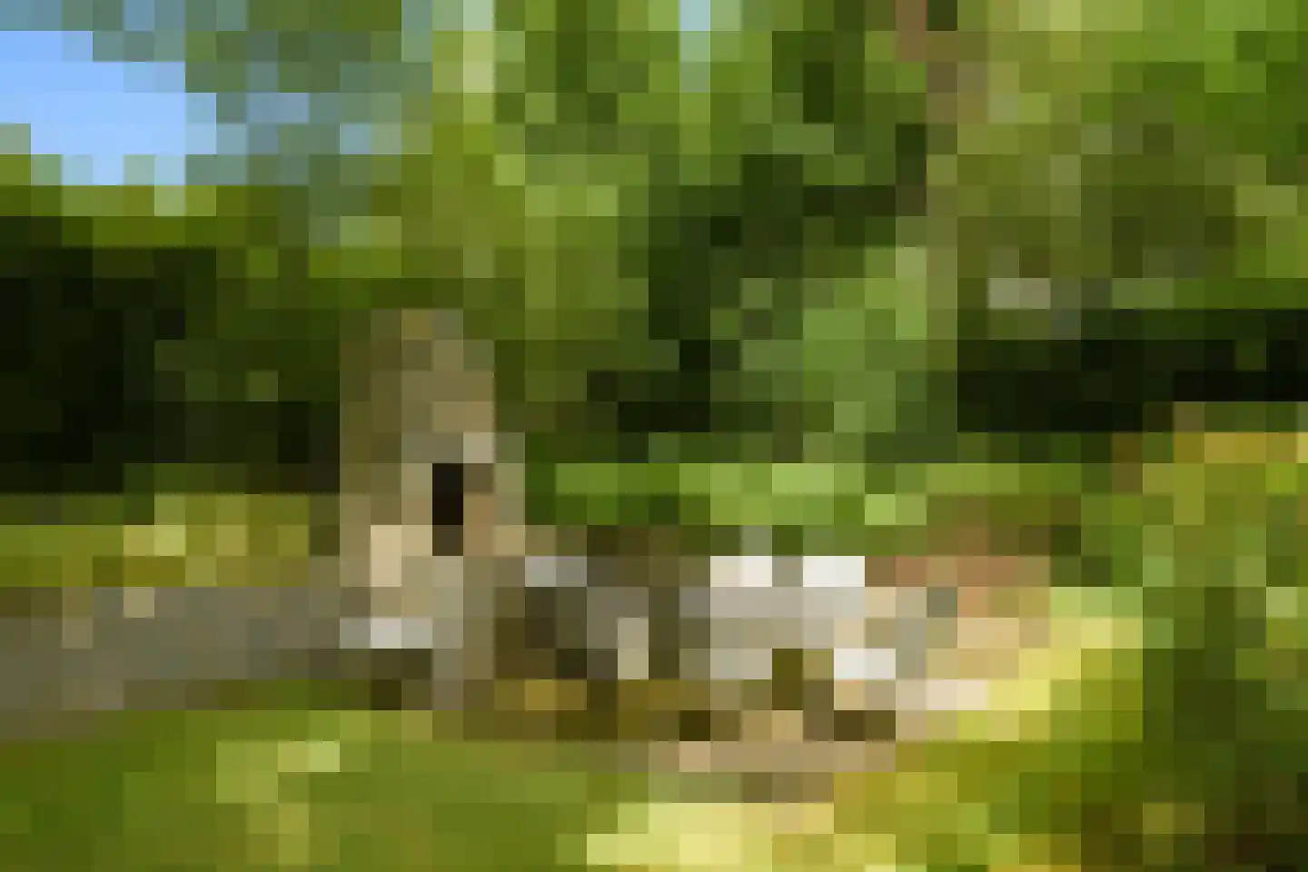 Struijshof 8 Breda thumbnail 36