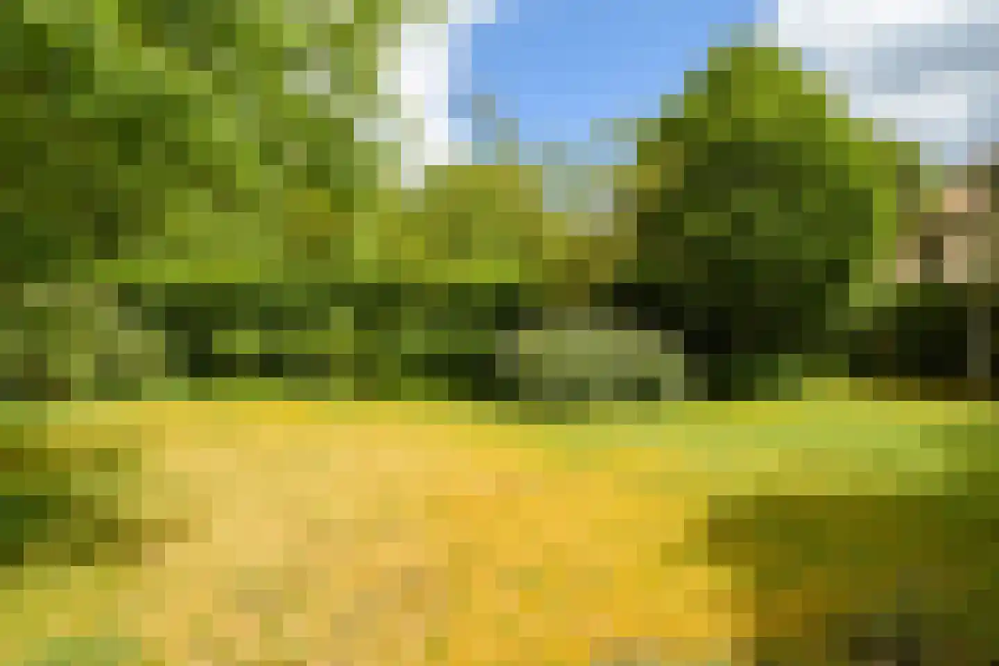 Struijshof 8 Breda thumbnail 37