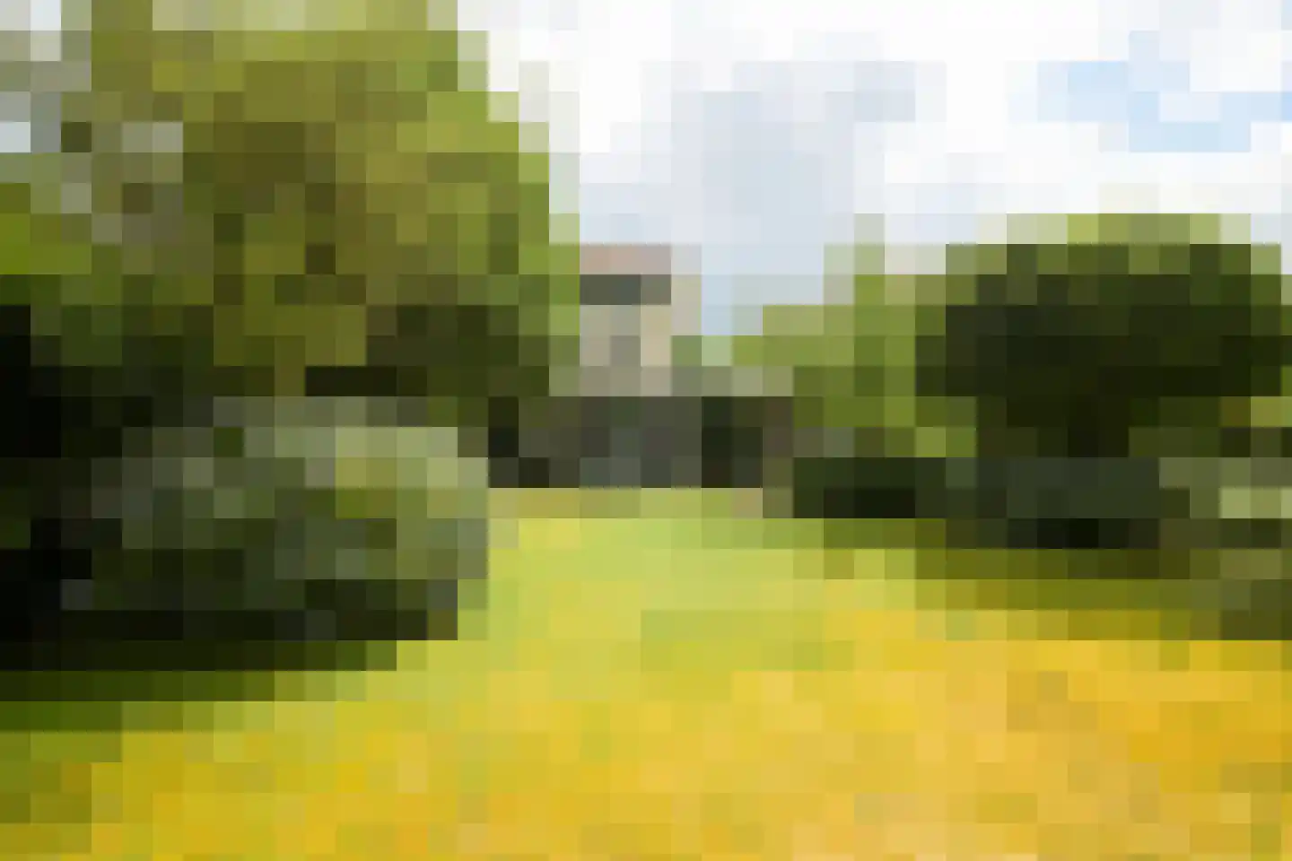 Struijshof 8 Breda thumbnail 38