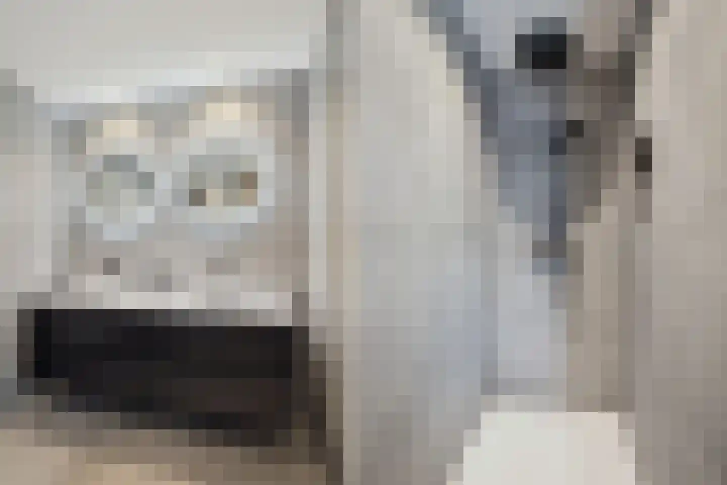 Struijshof 8 Breda thumbnail 4