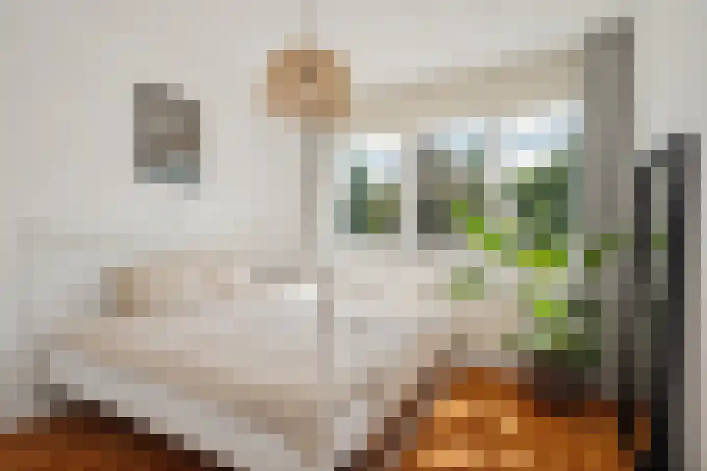 Struijshof 8 Breda thumbnail 47