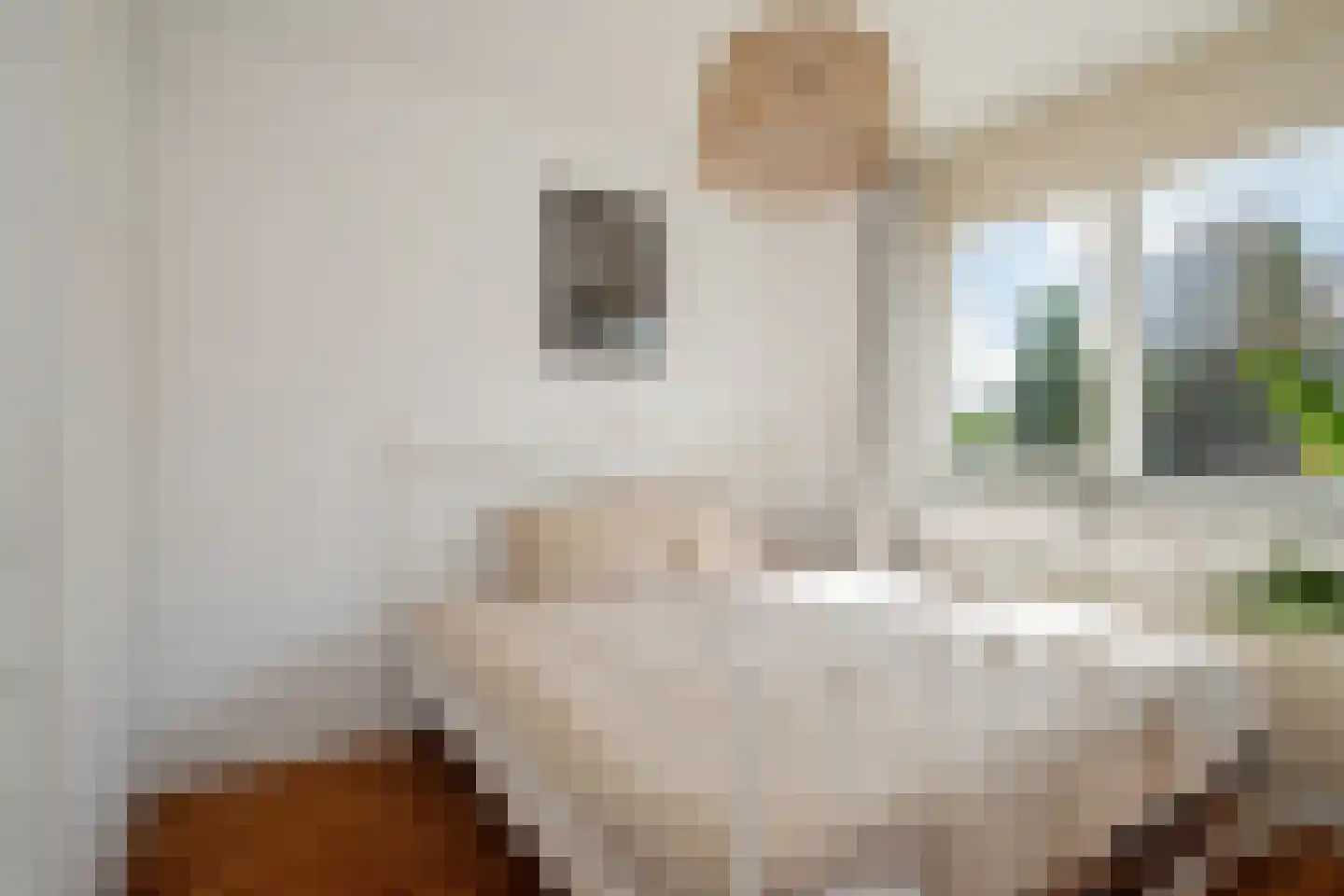 Struijshof 8 Breda thumbnail 48
