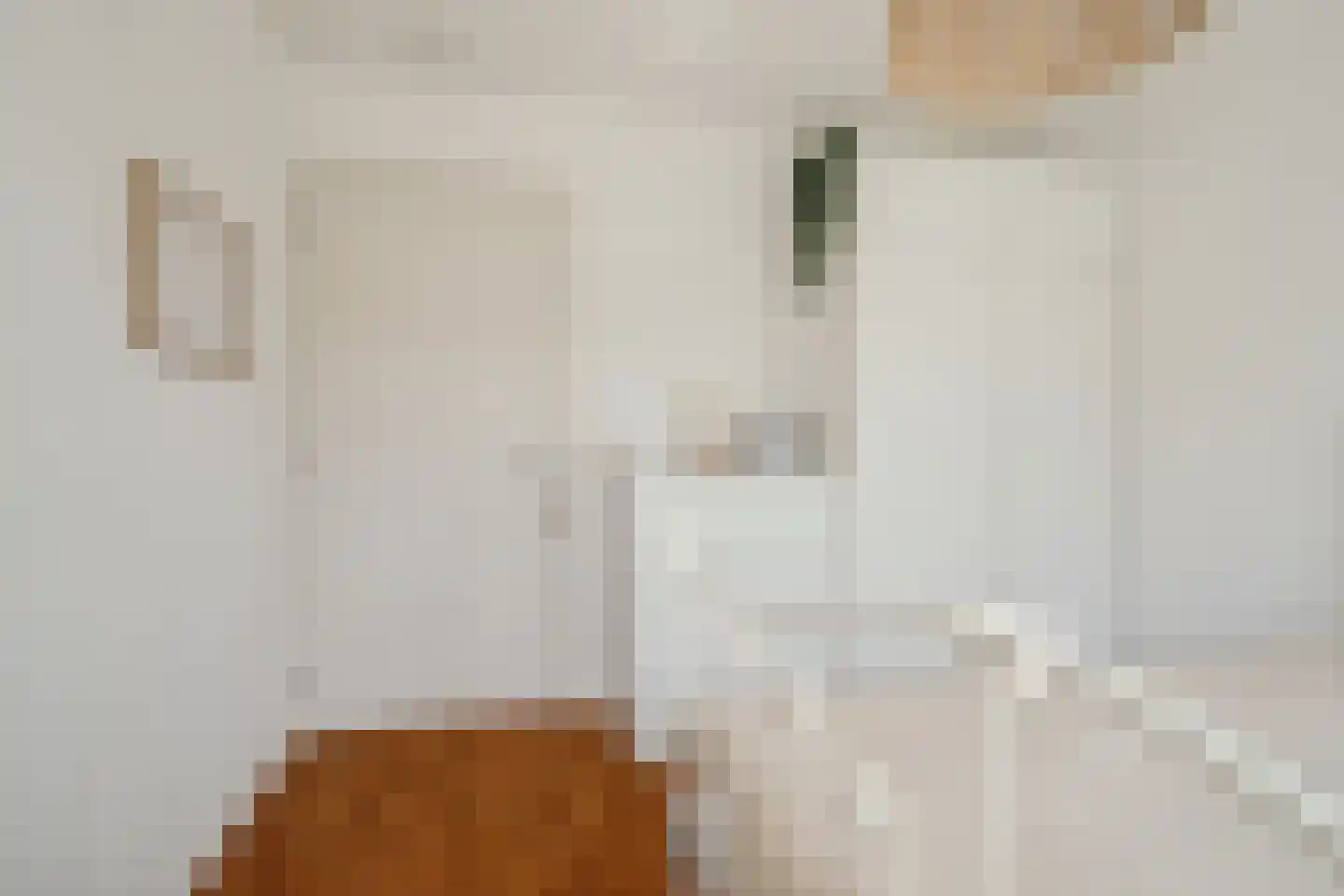 Struijshof 8 Breda thumbnail 49