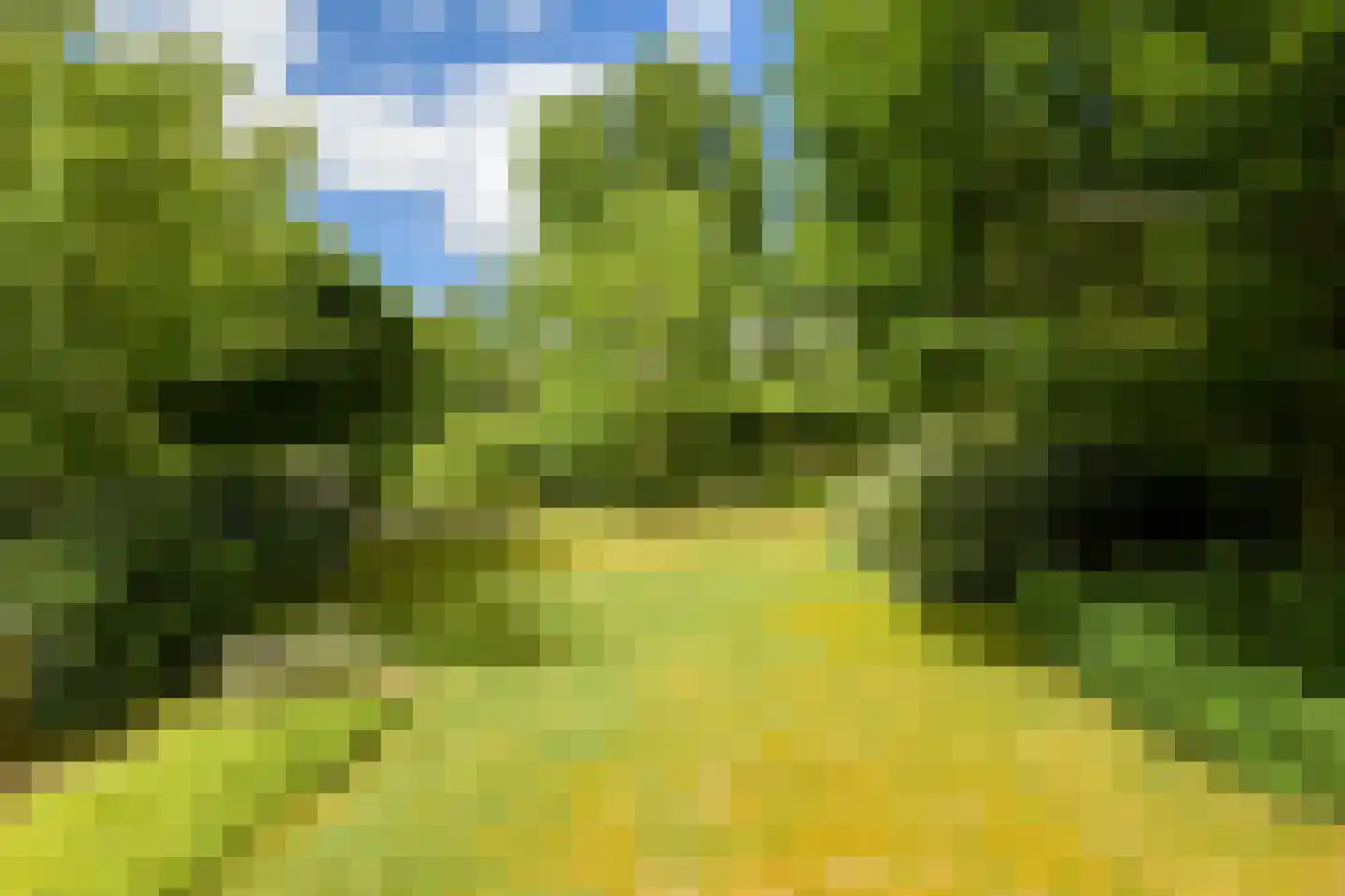 Struijshof 8 Breda thumbnail 5