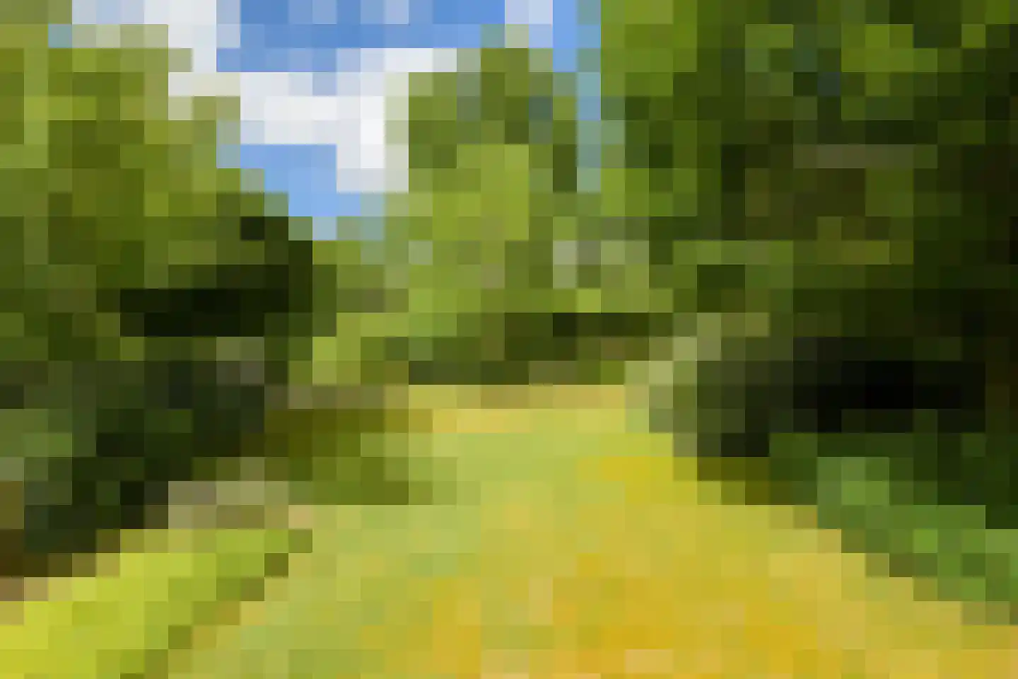 Struijshof 8 Breda thumbnail 5