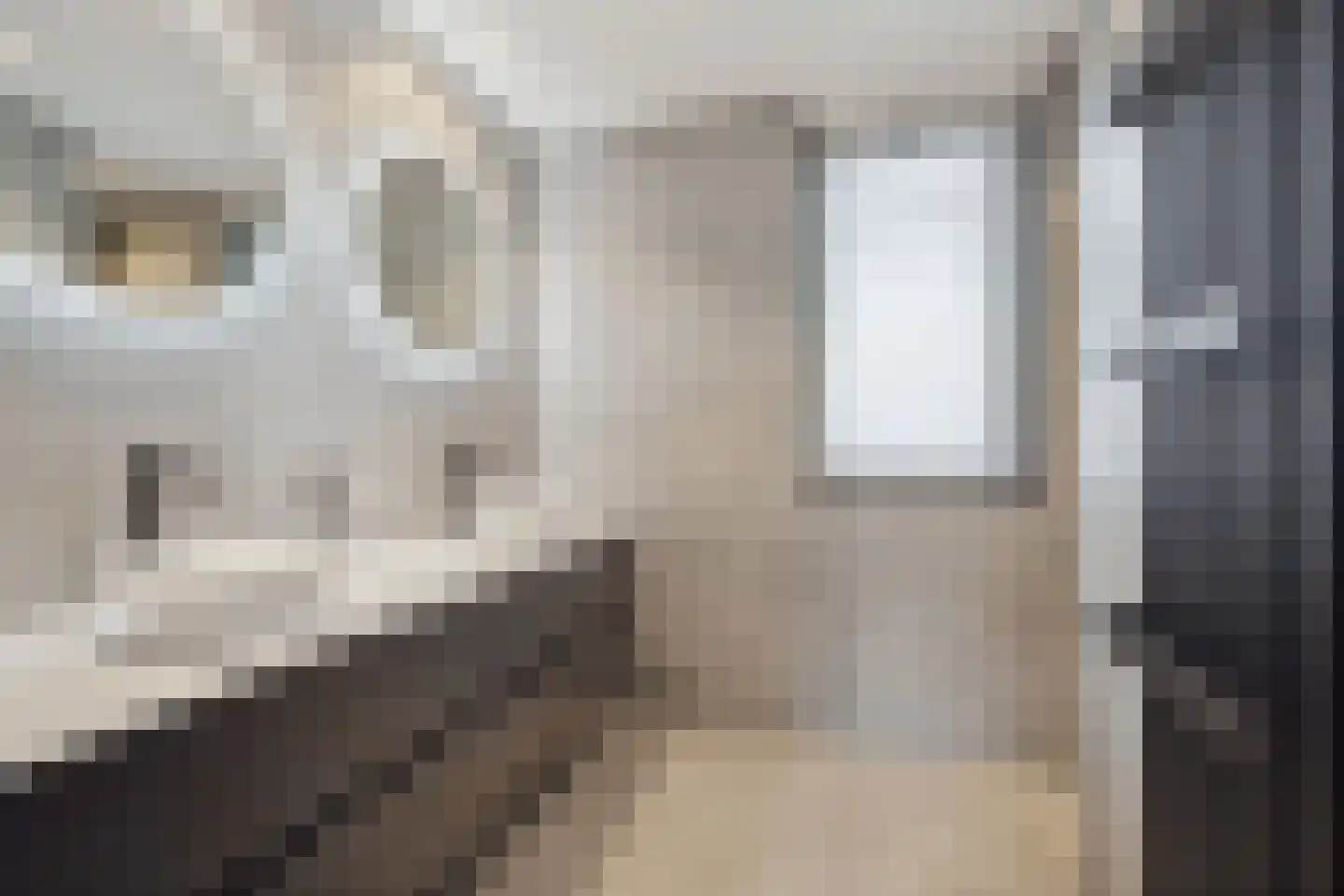 Struijshof 8 Breda thumbnail 51