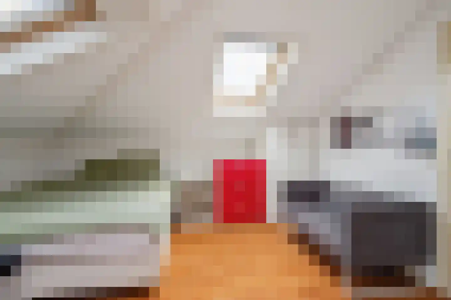 Struijshof 8 Breda thumbnail 59