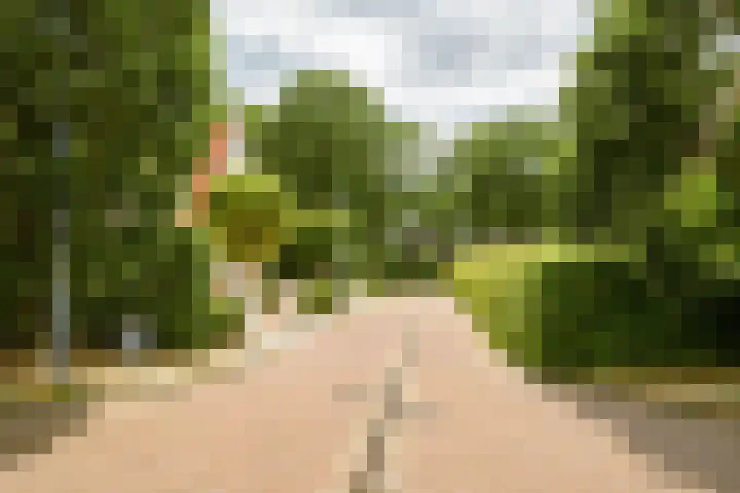 Struijshof 8 Breda thumbnail 65