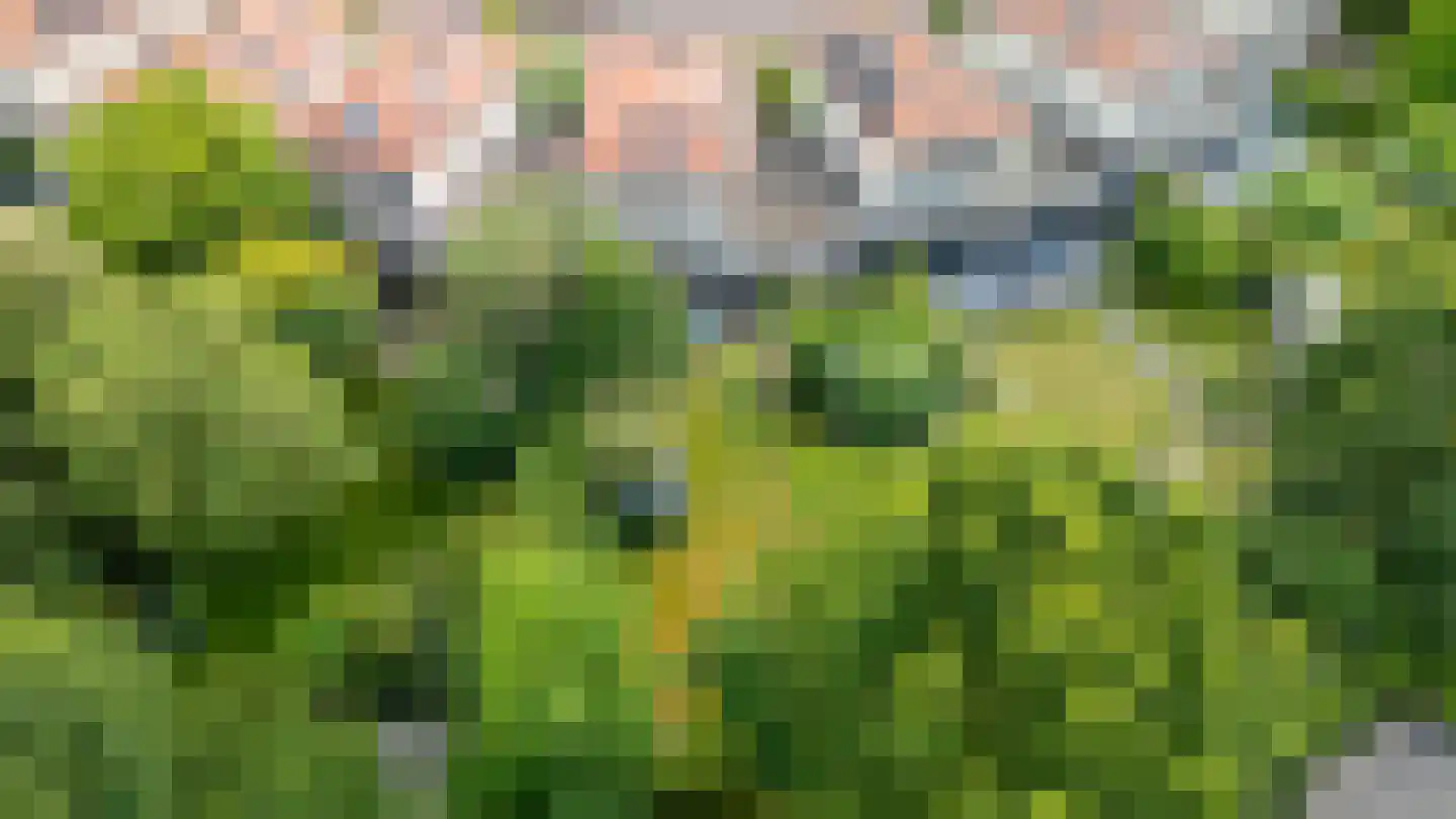 Struijshof 8 Breda thumbnail 67