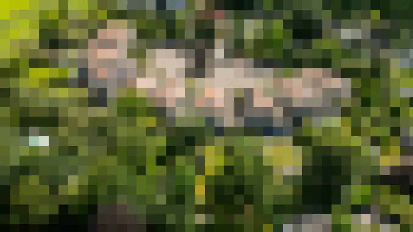Struijshof 8 Breda thumbnail 69