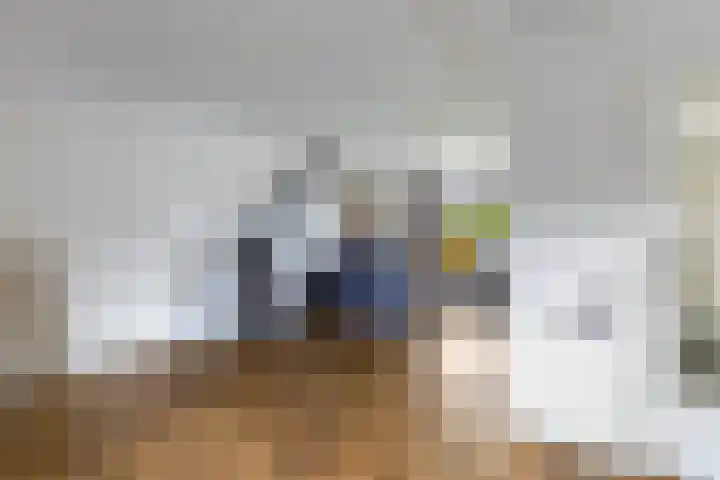 Struikakkers 13 Ermelo thumbnail 10