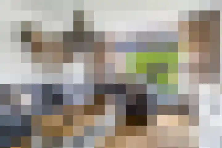 Struikakkers 13 Ermelo thumbnail 14