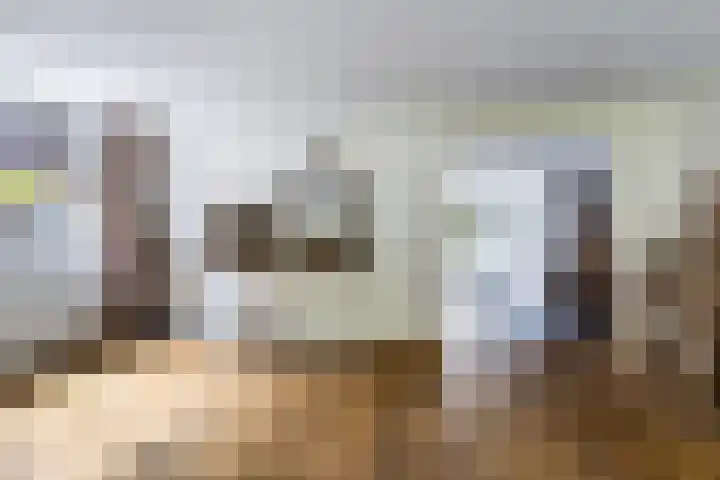 Struikakkers 13 Ermelo thumbnail 19