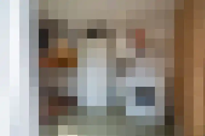 Struikakkers 13 Ermelo thumbnail 22