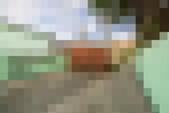 Struikakkers 13 Ermelo thumbnail 23
