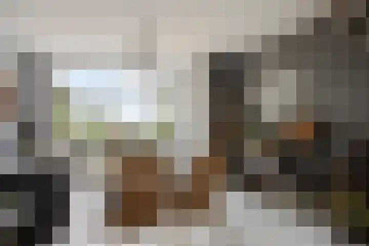 Struikakkers 13 Ermelo thumbnail 27