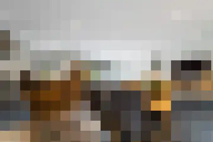 Struikakkers 13 Ermelo thumbnail 28