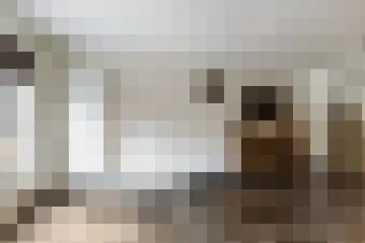 Struikakkers 13 Ermelo thumbnail 29