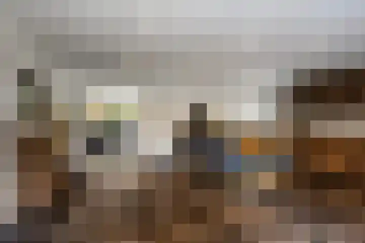 Struikakkers 13 Ermelo foto 3