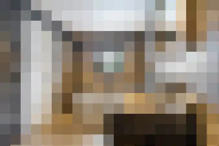 Struikakkers 13 Ermelo thumbnail 30