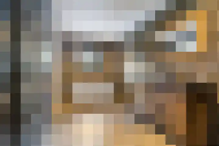 Struikakkers 13 Ermelo thumbnail 32